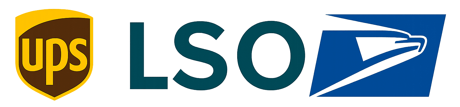 LSO logo on a white background